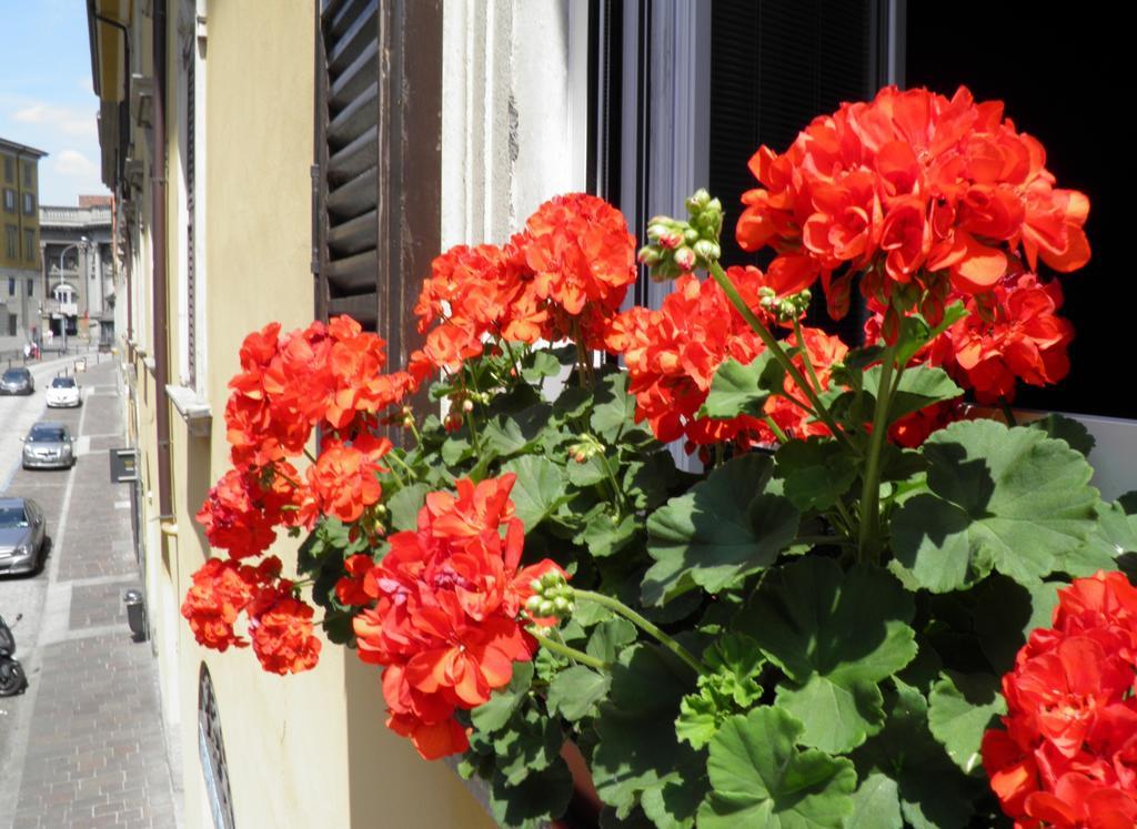 Bed and Breakfast In Centro Charme Bérgamo Exterior foto